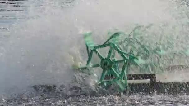 Movimiento Lento Aireadores Ruedas Paleta Agua Negra Canal Tratamiento Aguas — Vídeos de Stock