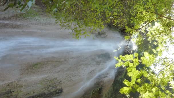 Vertical Cachoeira Floresta Tropical — Vídeo de Stock