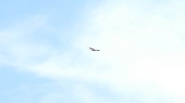 Gökyüzünde uçan şahinin yavaş hareketi.
