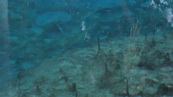 Blauw Water Vijver Bij Natuurlijke Attracties Van Thailand — Stockvideo