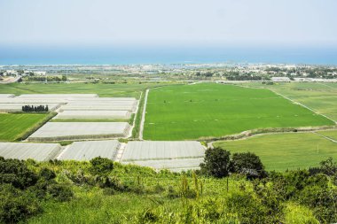Yeşil alanlar ve seralar, mavi deniz ve gökyüzü İsrail (Carmel hill tarım doğal görünümü)