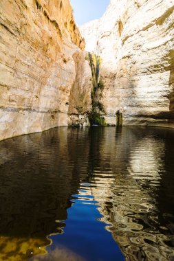 Makhtesh Ramon krater dağlar görünüm trekking yolu ile su - Negev Çölü (Mitzpe Ramon, İsrail jeolojik sitedeki park