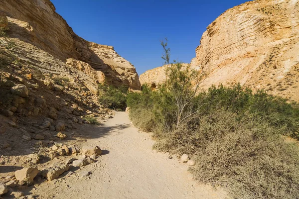 Makhtesh Ramon krater dağ manzaralı yürüyüş yolu - jeolojik sitedeki Negev Çölü (Mitzpe Ramon, İsrail)