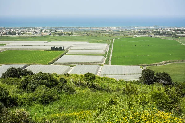 Zemědělství Malebný Pohled Zelených Polí Skleníků Modré Moře Nebe Izraeli — Stock fotografie