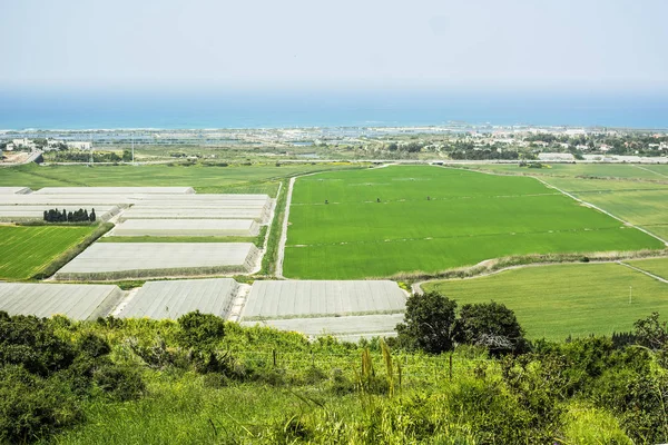 Zemědělství Malebný Pohled Zelených Polí Skleníků Modré Moře Nebe Izraeli — Stock fotografie