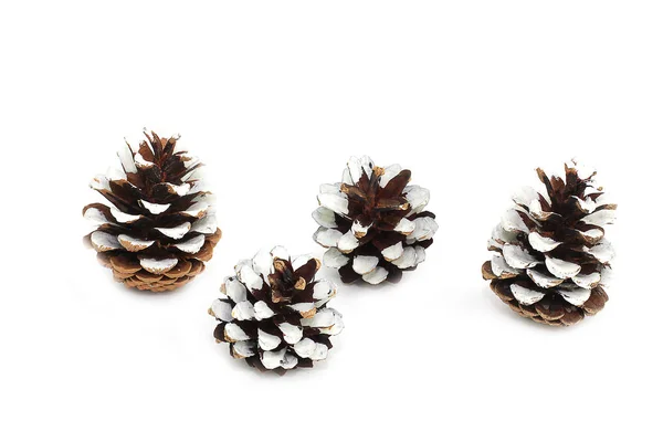 Cones Sobre Fundo Branco Natal Ano Novo — Fotografia de Stock