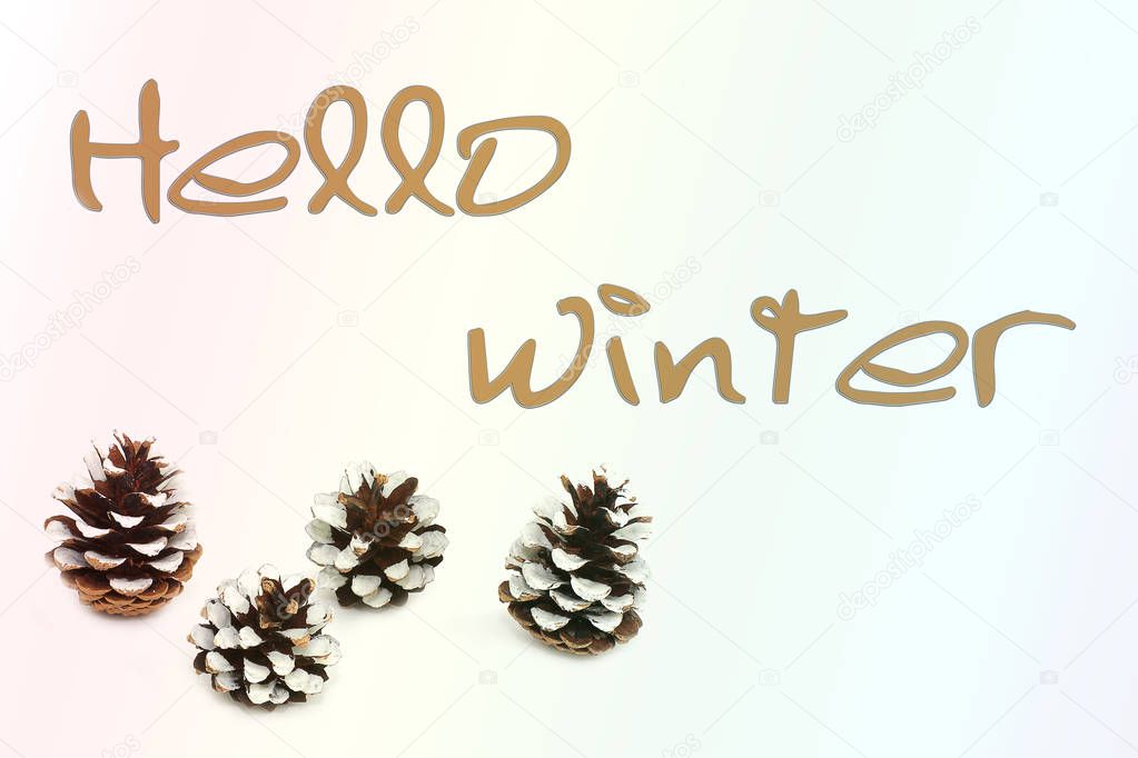 Cones on a white background. Christmas. New Year