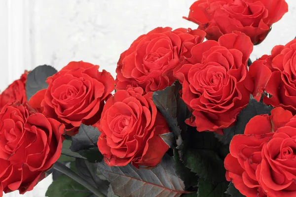 Red Roses Close — Stock Photo, Image