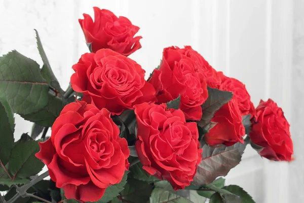 Red Roses Close — Stock Photo, Image