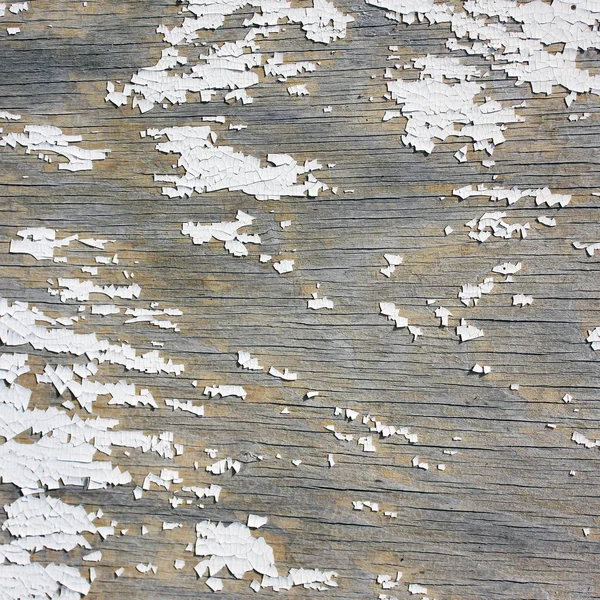 Background Old Boards Old Paint — Stock Photo, Image