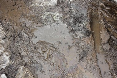 Bahar bataklık. Arka plan. Bahar