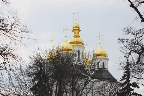 Kyrkan Vacker Kyrka Vinter — Stockfoto