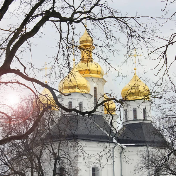 Kyrkan Vacker Kyrka Vinter — Stockfoto