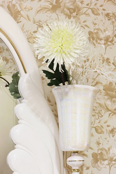 Plant Bedroom — Stock Photo, Image