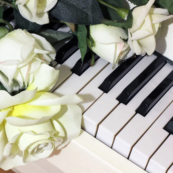 Розы Цветов Фоне Фортепиано — стоковое фото
