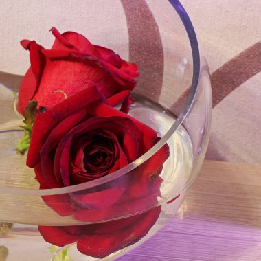 Bir vazoda gül. Süslemeleri.