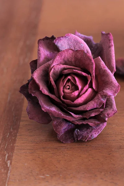 Выцветшие Розы Деревянном Фоне — стоковое фото