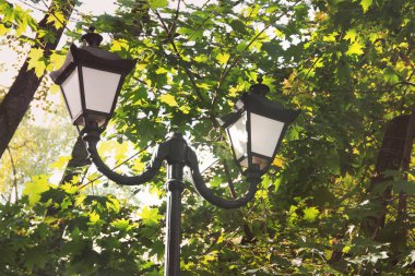 Sonbahar Park. Sahte fenerler