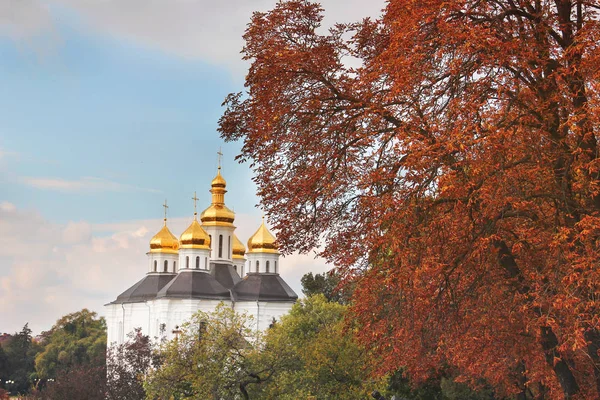 Красивая Церковь Парке Золотые Купола Осень — стоковое фото