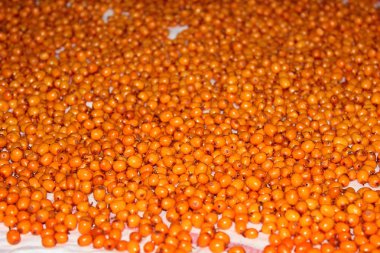 Arka plan sarı çilek