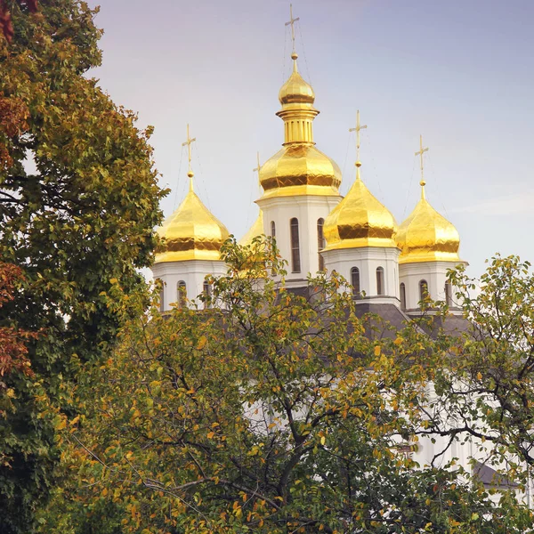 Krásný Kostel Parku Zlaté Kopule Podzim — Stock fotografie
