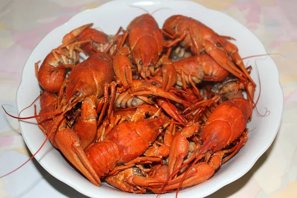 Boiled Crayfish Plate — Stock Photo, Image
