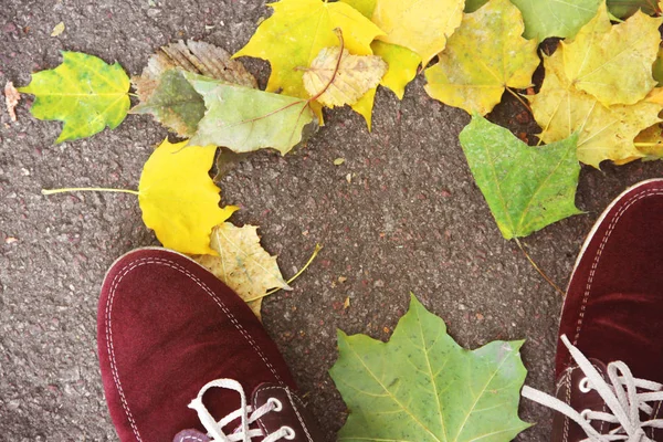 Erkek feet ve düşen yapraklar