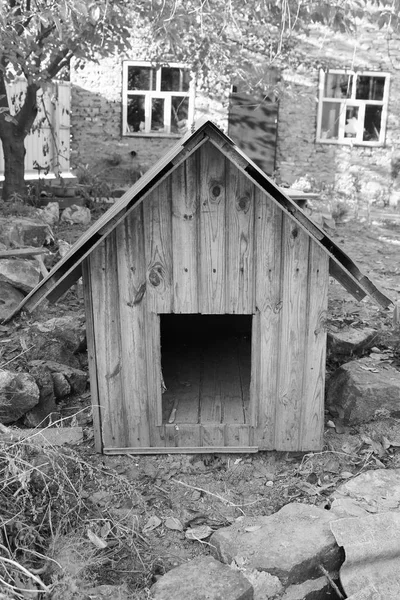 Ház Részére Kutyák Fekete Fehér Fénykép — Stock Fotó