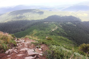 Dağ ve orman. Doğa