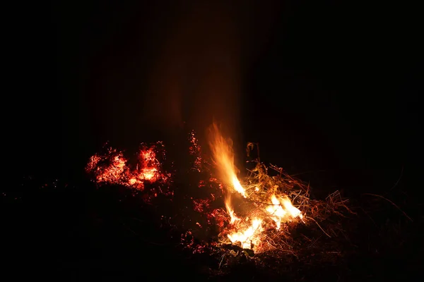 Fuego Hoguera Por Noche Contexto —  Fotos de Stock