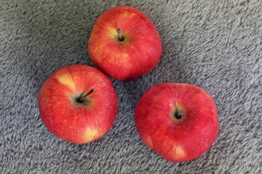 elma gri bir arka plan üzerinde