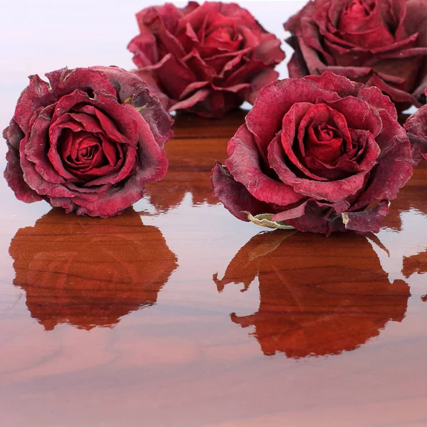 Сушеные Розы Деревянном Фоне — стоковое фото