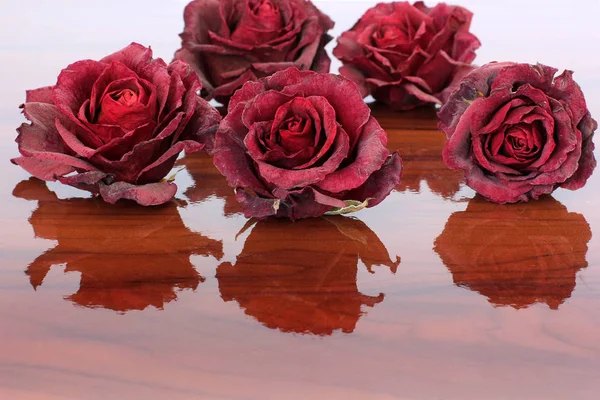 Сушеные Розы Деревянном Фоне — стоковое фото