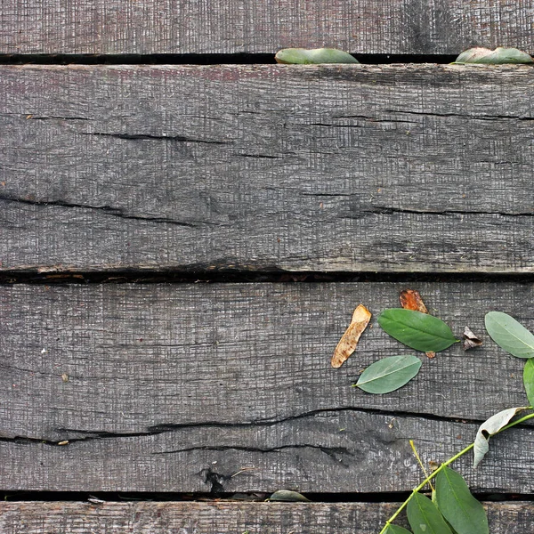 Beautiful Background Wooden Planks Wood Background Close — Stock Photo, Image