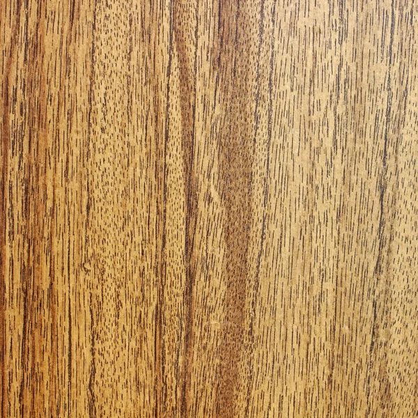 Sfondo Legno Texture Primo Piano — Foto Stock