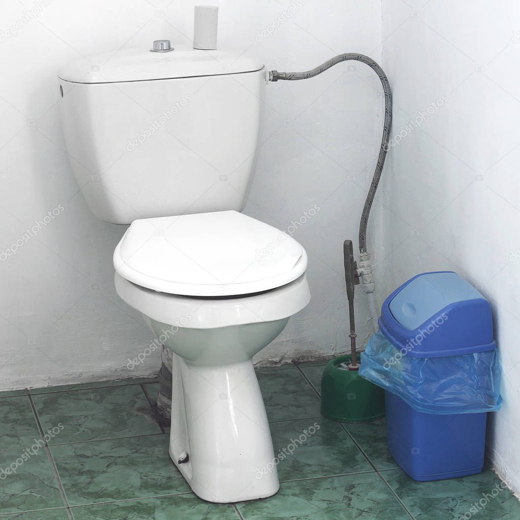Toilet in the house
