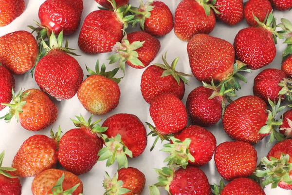 Erdbeere Hintergrund Der Erdbeeren — Stockfoto