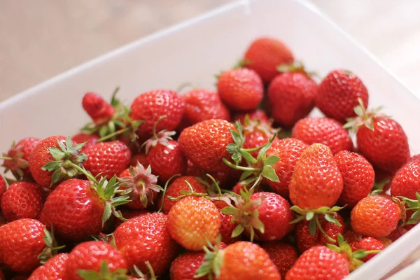 Erdbeeren Einer Schachtel — Stockfoto