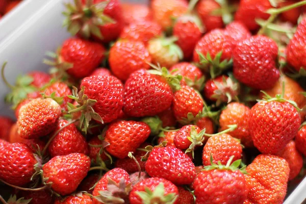 Erdbeeren Einer Schachtel — Stockfoto