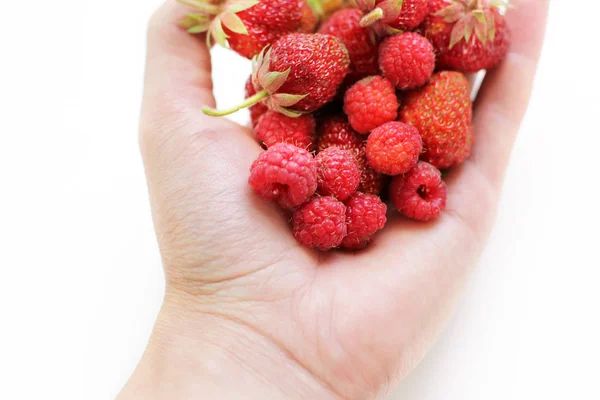 Erdbeere Und Himbeere Der Hand — Stockfoto
