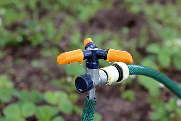 Watering System Garden — Stock Photo, Image