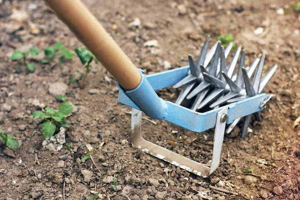 Garden tools in the garden