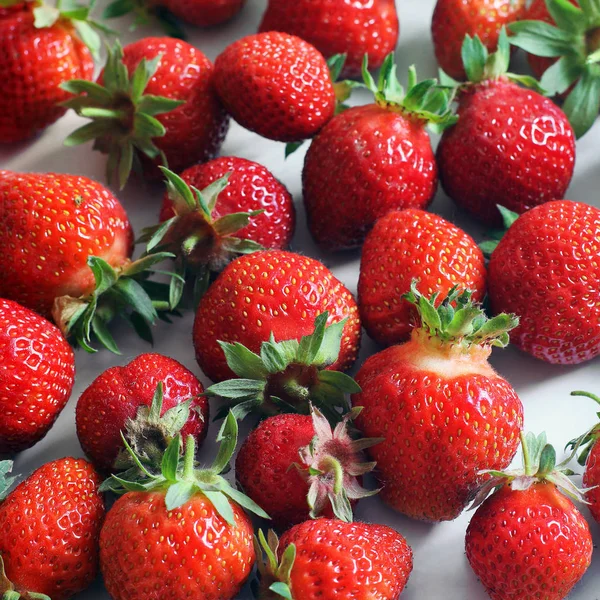 Erdbeere Hintergrund Der Erdbeeren — Stockfoto