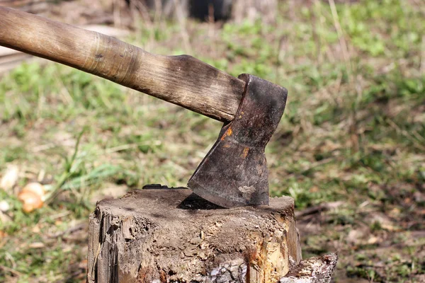 Stump Árbol Talado —  Fotos de Stock