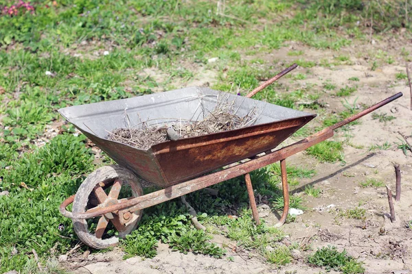 Brouette Dans Jardin — Photo