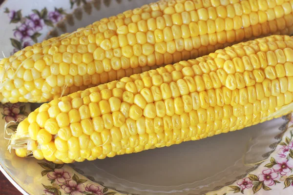 Lemez Főtt Kukorica — Stock Fotó