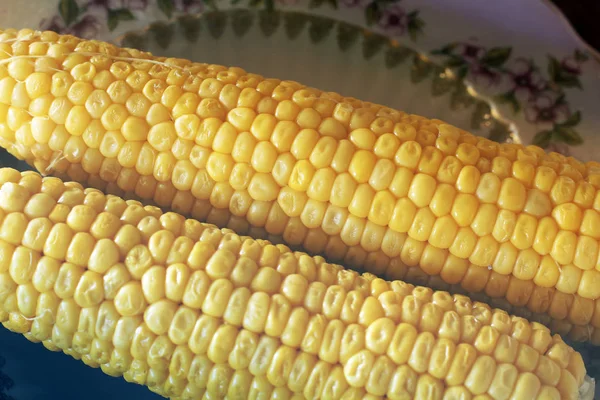 Lemez Főtt Kukorica — Stock Fotó