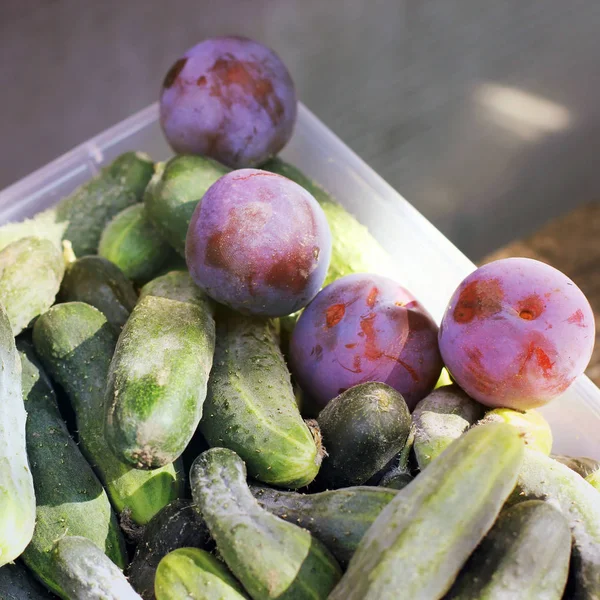 Concombres Légumes Dans Une Boîte Plastique — Photo