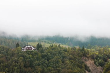 Orman dağlarda. Doğa