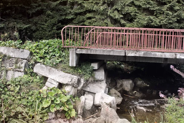 Puente Las Montañas Naturaleza —  Fotos de Stock